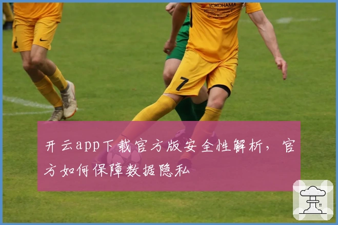 开云app下载官方版安全性解析，官方如何保障数据隐私