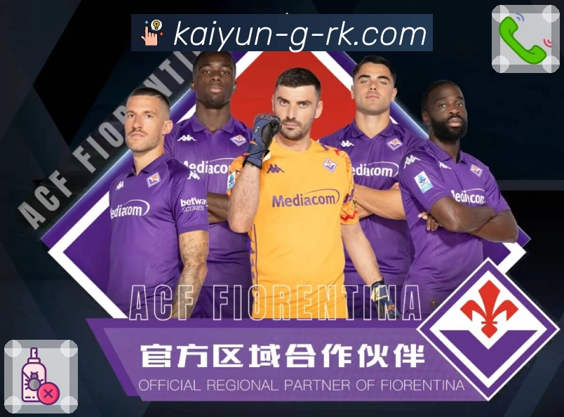 数据查询 - 榜单与统计